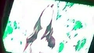 Licking Lib's Pussy And Fucking Her Ass So Hard Now!