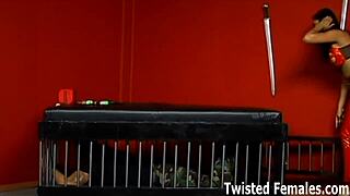 Mistress ydmyger slave i domination scene