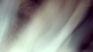 haciendo de las suyas