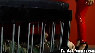 Mistress humiliates slave in domination scene