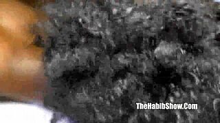 safari tiger banged by bbc gang in ghetto