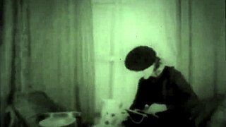 Dark Lantern presenta castora pelosa che cavalca