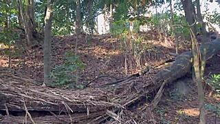 Naked Nymphet Feels Exposed In The Woods