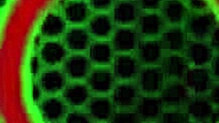 Principal Sara Jay Plays with Strap-On in Lingerie