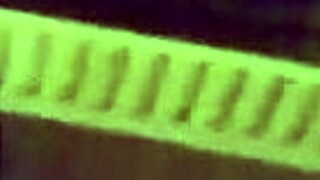 Keri and Jay indulge in intriguing blowjob fun with monster cocks