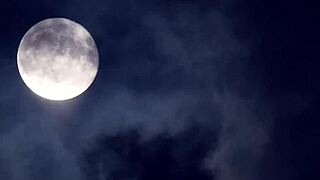 dead friends emerge from the grave for her