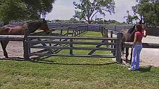 a girl works on the country ranch