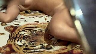 aventuras da belinha com dois comedores pela manhã - prévia