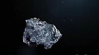 Playful Kittens Engage in Wet Fun Activities