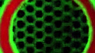 Latina Anal Queen Kelsi Monroe Gets Ass Pounded Hard