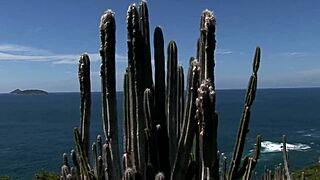 The Beautiful Threesome Unfolds On The Beach