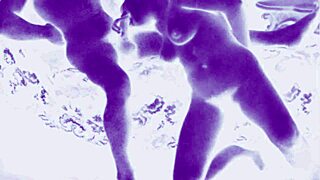 Vintage Antique Retro Art Drawings Collection