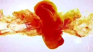 Wet and pissy - office experimentation with piss