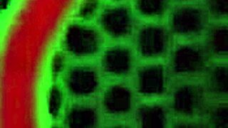 shes insatiable for sure montana starr fucks rome majors massive cock