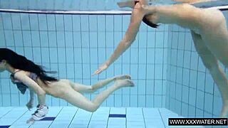 Tıraşlı Esmer Büyük Memeli Su Altında?