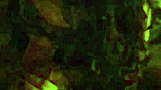 Blow Job Completion With Brunette Amateur