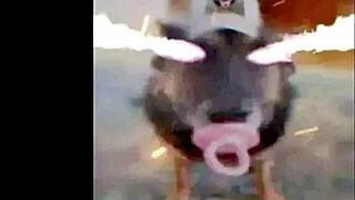 osu standard play hechizeros band x koji kondo el sonidito x athletic theme ditzyflama mashup amats insane