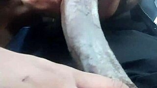 Give me head in the wet car