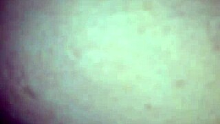 eating pussy from the back, yeah that's how i like it