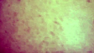 Brazilian Couple's Naughty Adventures Part 11