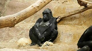 5 reasons why girls don't cum