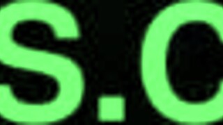 friendships vermillion roblox roleplay