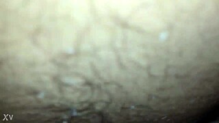 Homemade Couple Enjoys Natural Tits And Pussy Play