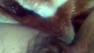 Explore the contrasting cultures of Vietnam