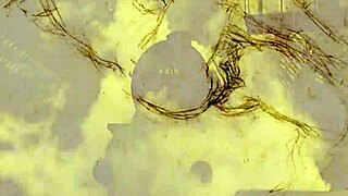 vintage retro tegninger fra gamle dage