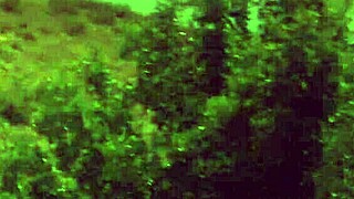 Horny Milf Hooks A Hung Fishermans Throbbing Rod