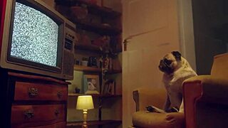 benefit monkey explores eden ivy's luxurious style in lingerie part 2