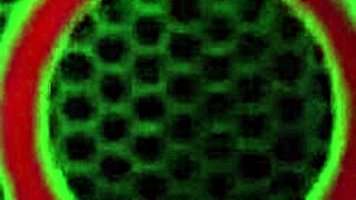 Lounging Around, British Sophie Dee Dildo Drills Her Trimmed Pussy?