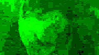 Amateur lunchtime blowjob in the office turns unexpectedly exciting.