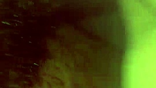 Roxanne getting fucked hard.