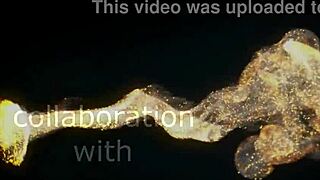 19-Year-Old Lika Star Craves Big Cock in Her Ass for Hard Assfucking