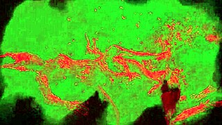 crave frost onoskelis succubus monster bisexual sex scenes?