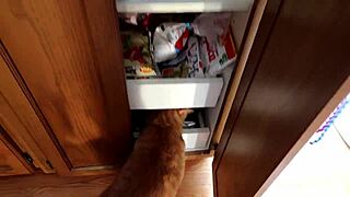 Naughty Tease Video for Your Private Moments