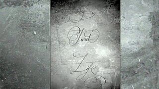 vintage erotic hairy retro drawings