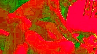 The Birthday Dinner That Ended with Passionate Wife Intimacy