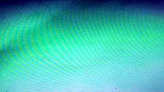 Hey, check out this bitch's massive hairy pussy up close