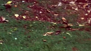 my wife relaxes in the garden while i secretly video her natural beauty