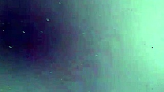 Hey, check out this bitch's massive hairy pussy up close