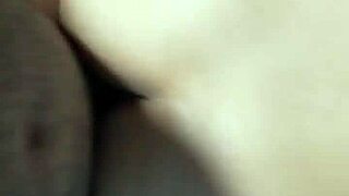 amiga moves so well peruvian style