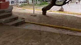 Chubby Latina Whore Parks Huge Pussy Toy Stuffed Horny