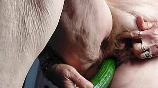 i'm oma an i fuked my old harry pussy with huge komkommer!!
