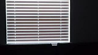 big titted brunette lesbian takes huge bbc doggystyle 🍆💦👅