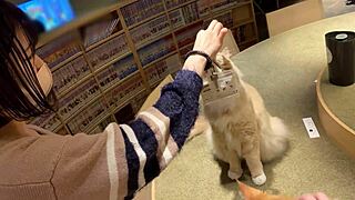 meow, this busty japanese college catgirl's shaved pussy squirts from raw creampie sex!