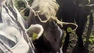 just a happy hippie country girl chatting with cows and you about her tattoos