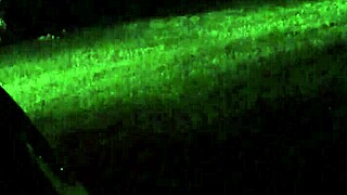 Whoa, caught my wife cheating red-handed on cam! 👀😲