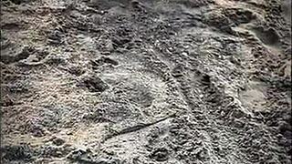 that muscular latina babe on the beach blows my big cock and gets cum covered in public